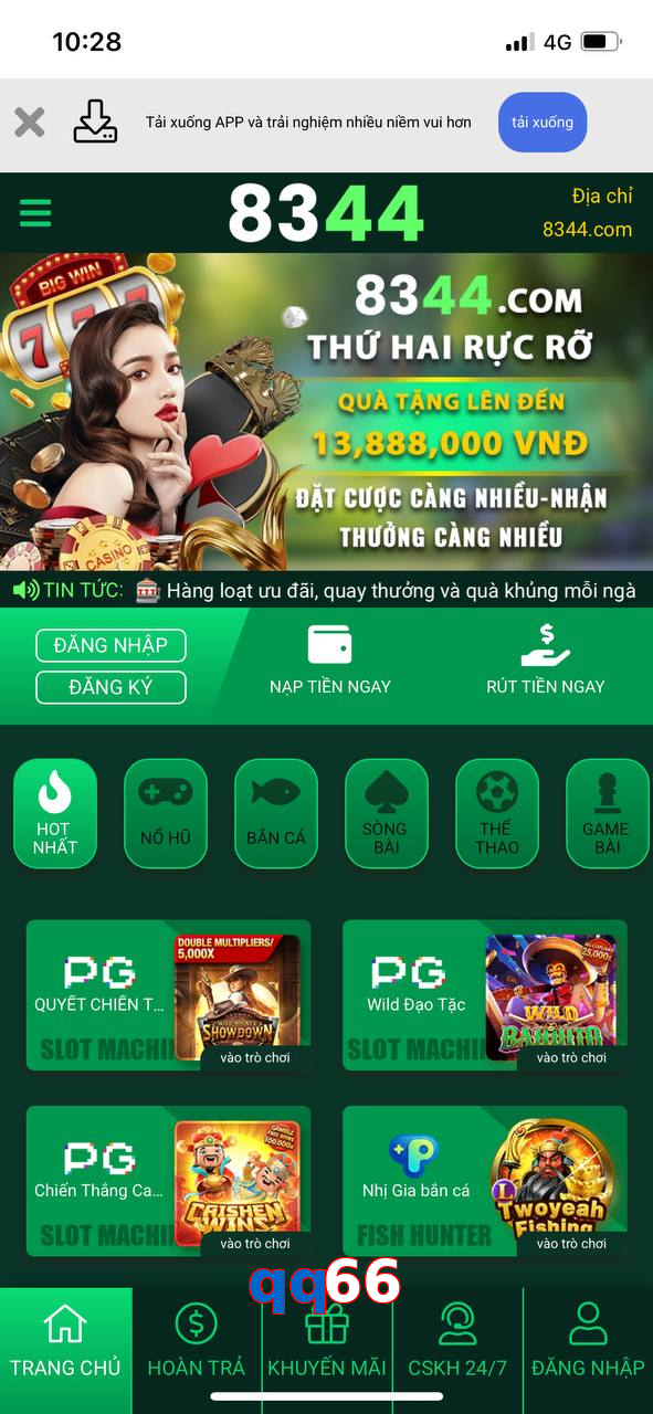 qq66